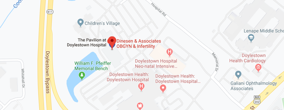 Google map of Dinesen OBGYN & Associates