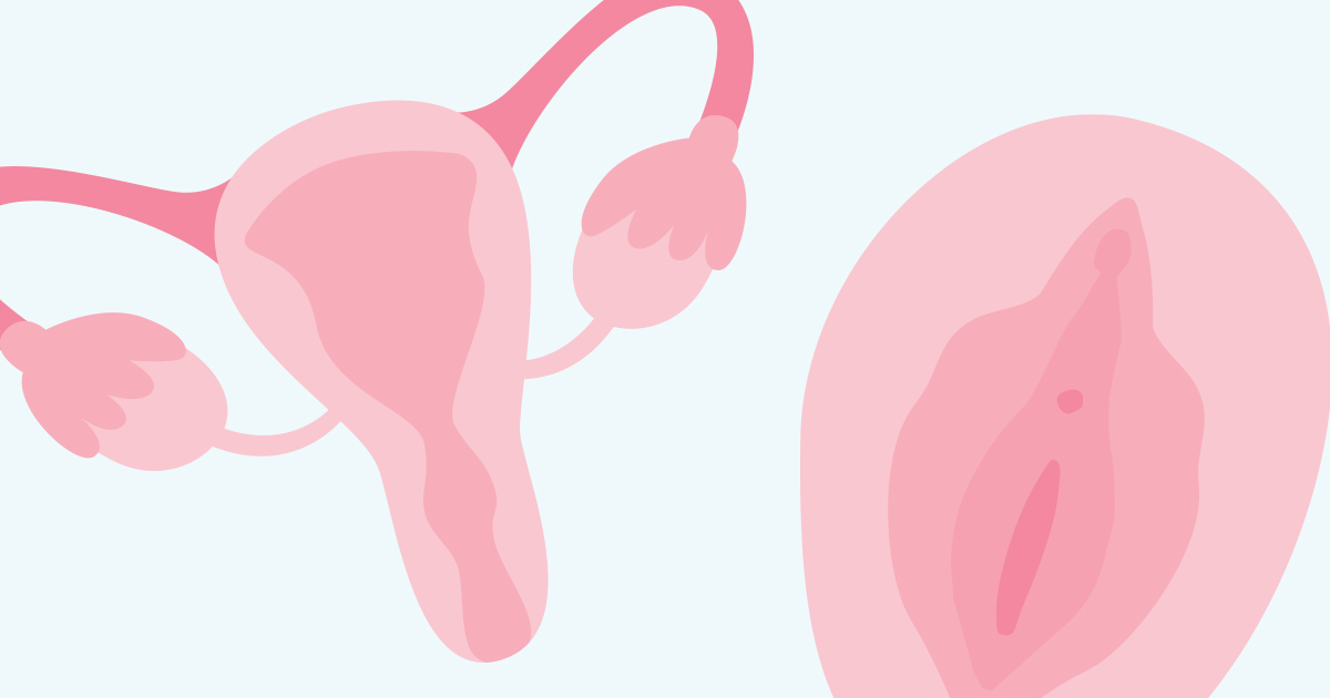 Women's Health: Everything You Don't Know About Your Ladyparts